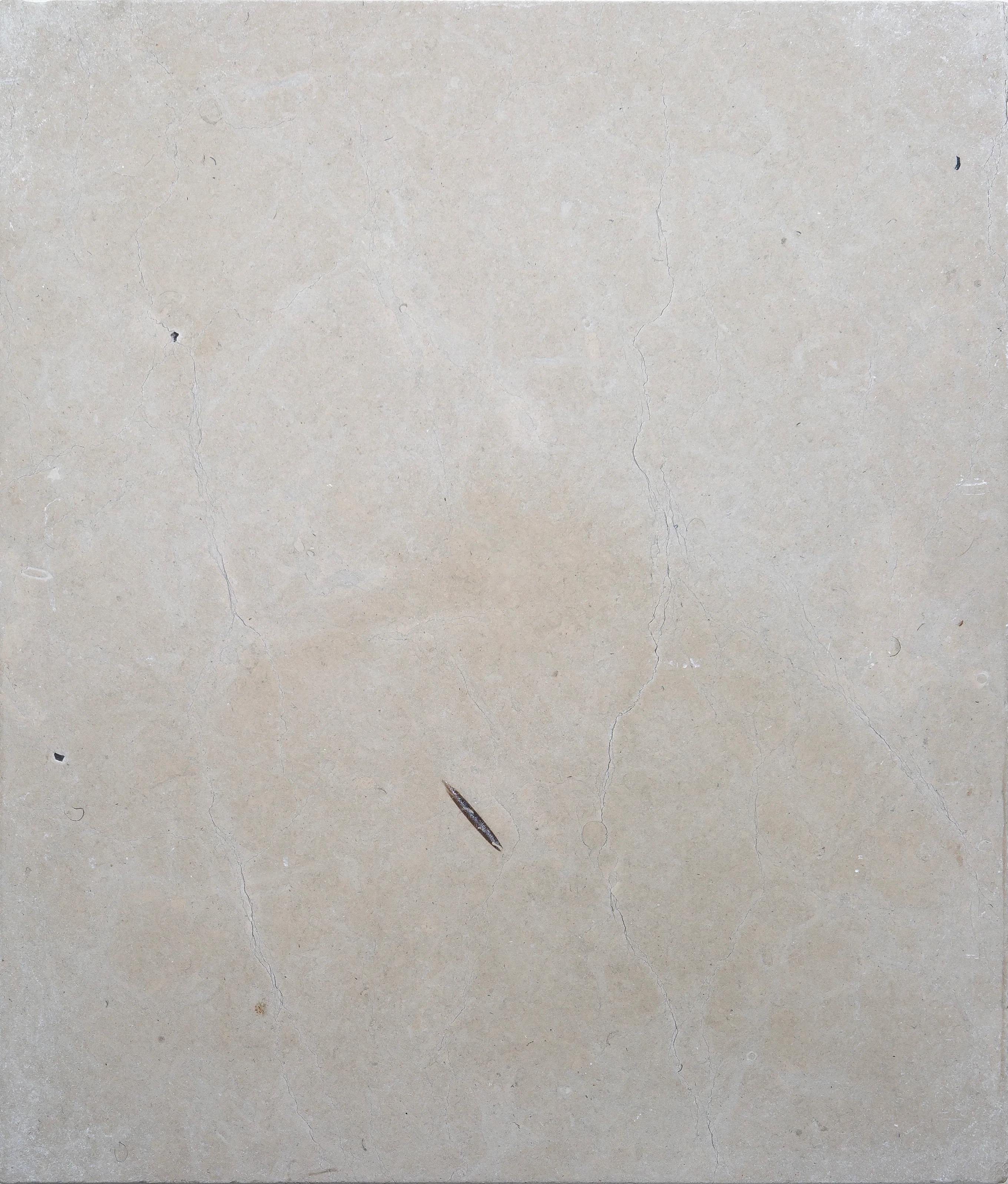 Alpina Gris Tumbled Limestone Tiles - Image 3