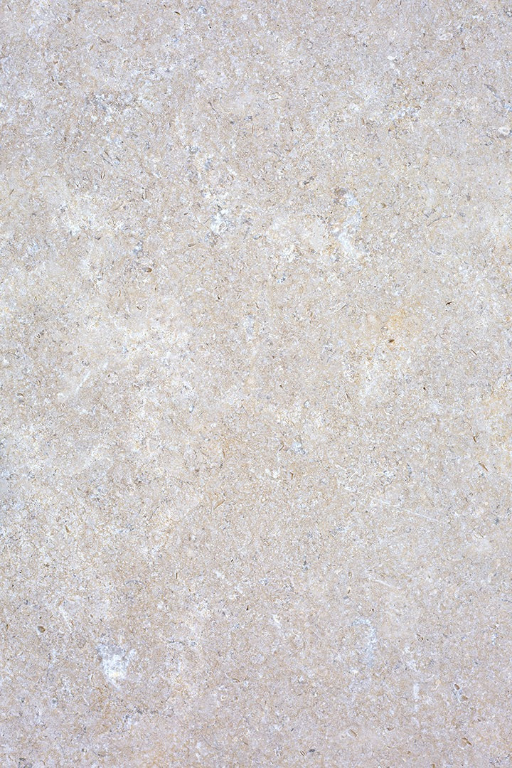Dijon Seasoned Limestone Bullnose Step - Image 4